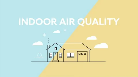 How Improved Indoor Air Quality Can Transform Your Home