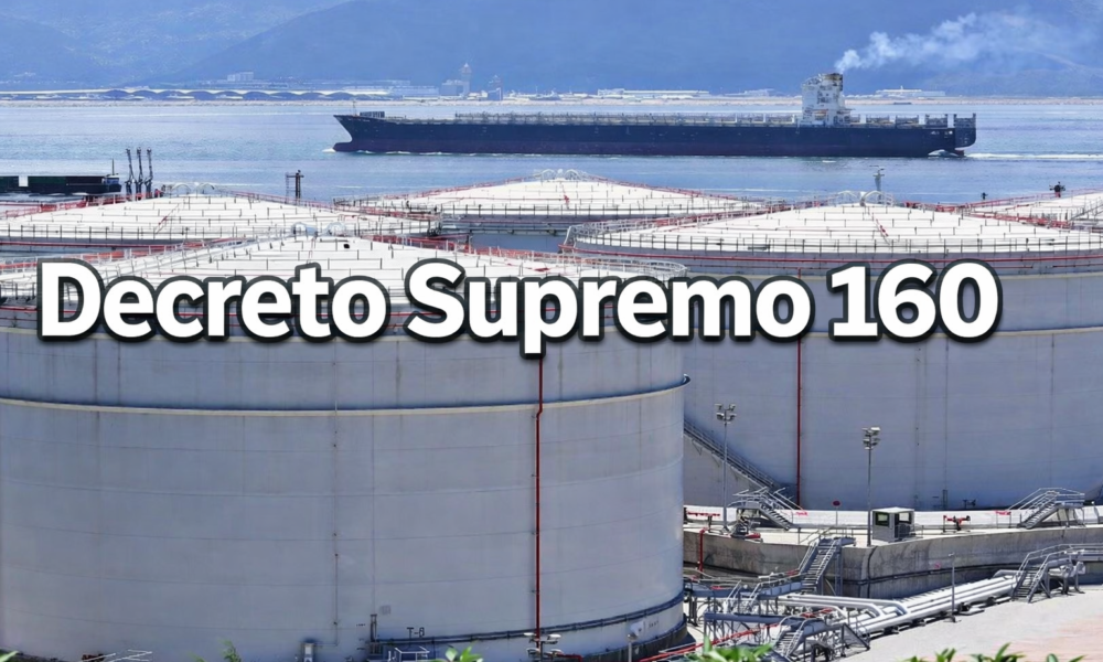 decreto supremo 160