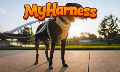 MyHarness