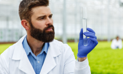 Organic Formula from Europe Safe and Good Brands1