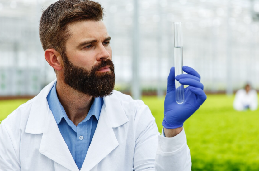 Organic Formula from Europe Safe and Good Brands1