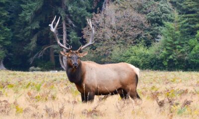 Hunting traditions in American families