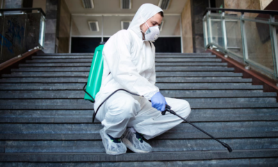 5 Signs Of A Reliable Pest Control Service