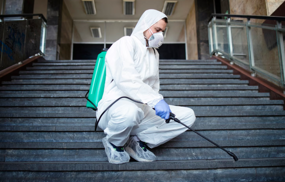 5 Signs Of A Reliable Pest Control Service