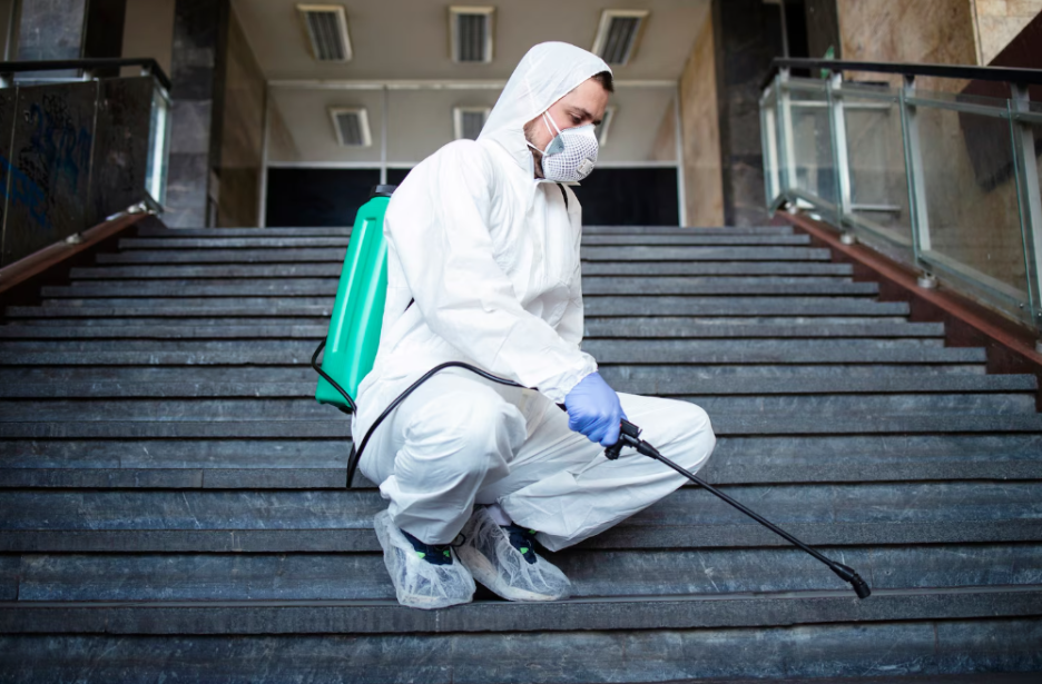 5 Signs Of A Reliable Pest Control Service