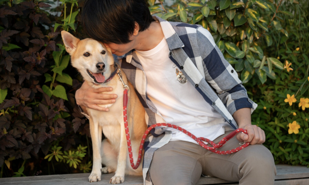 Dog Bandana