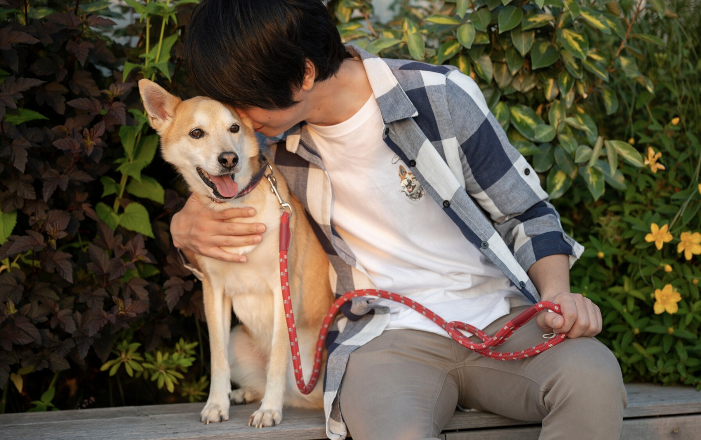 Dog Bandana