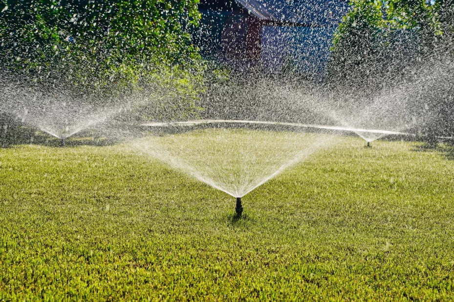 Custom Irrigation