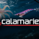 Calamariere