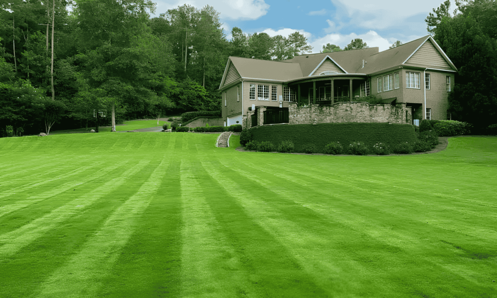 Landscaping
