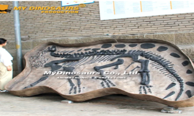 From Fossils to Form: How Dinosaur Skeleton Replicas Come to Life