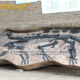 From Fossils to Form: How Dinosaur Skeleton Replicas Come to Life