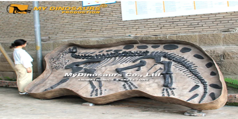From Fossils to Form: How Dinosaur Skeleton Replicas Come to Life