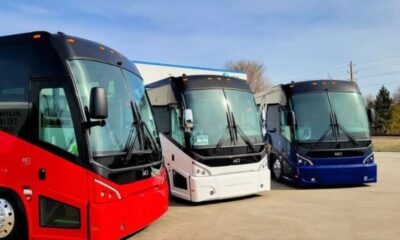 busses