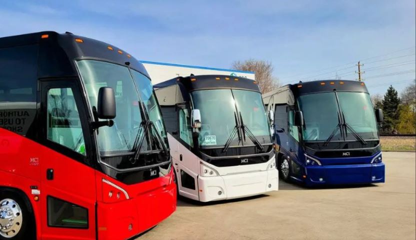 busses