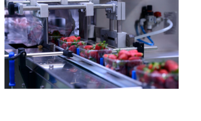 How a Food Packaging Supplier Improves Freshness