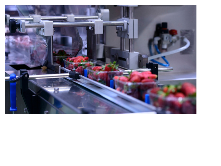 How a Food Packaging Supplier Improves Freshness