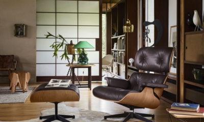 Mid-Century Designer Chairs: Where Design Meets Everyday Comfort
