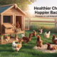 How a Well-Designed Chicken Coop Supports Healthier and Happier Backyard Chickens