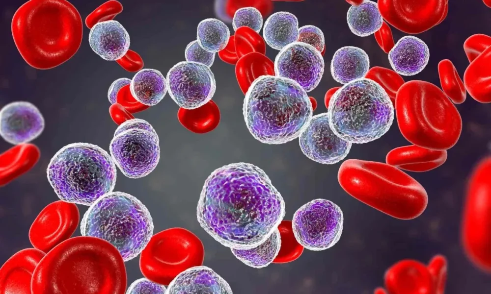 Stem Cells Explained: Meaning, Types, and Medical Importance