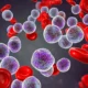 Stem Cells Explained: Meaning, Types, and Medical Importance