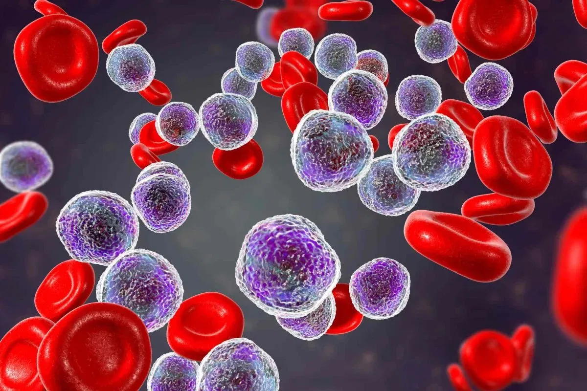 Stem Cells Explained: Meaning, Types, and Medical Importance