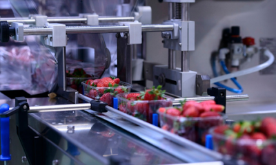 How a Food Packaging Supplier Improves Freshness