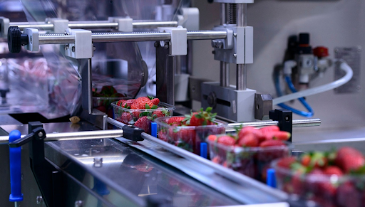 How a Food Packaging Supplier Improves Freshness