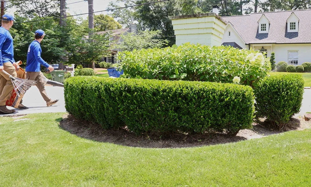 Lawn Care