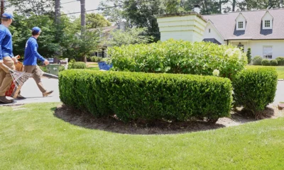 Lawn Care