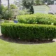 Lawn Care