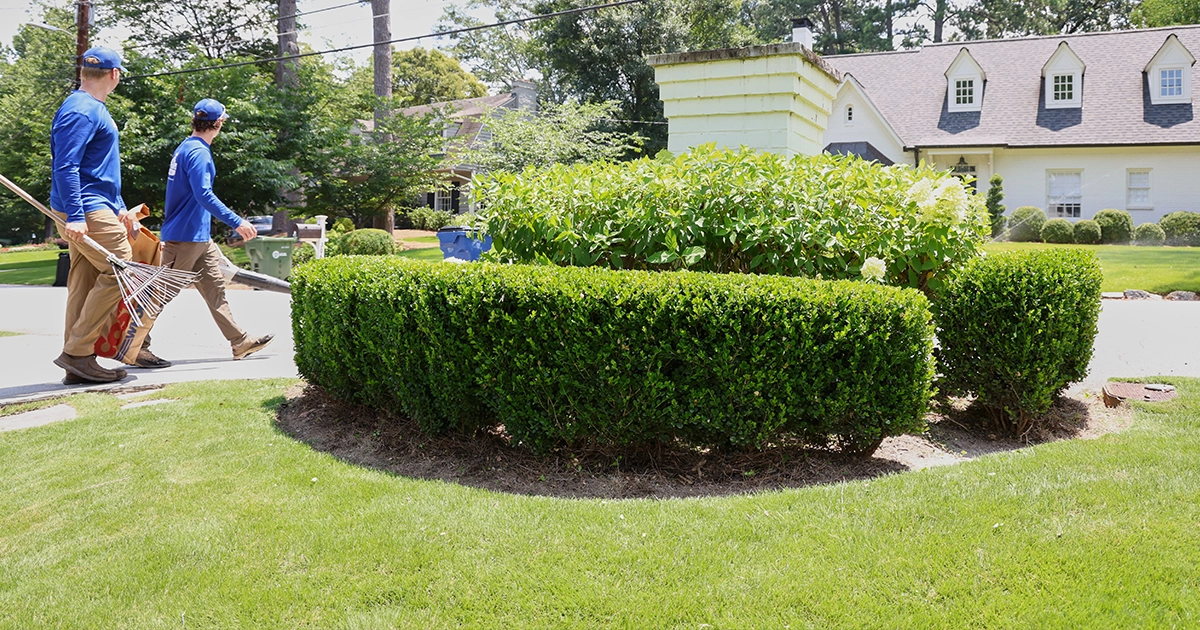 Lawn Care