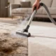 Steam Carpet Cleaning