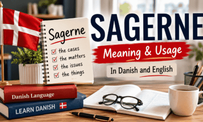 sagerne