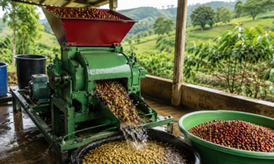 Coffee Pulping Machine Price in Kenya – How to Ensure You Get the Best Deal