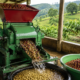 Coffee Pulping Machine Price in Kenya – How to Ensure You Get the Best Deal