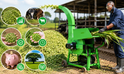 Top Advantages of Having a High-Quality Chaff Cutter Machine