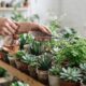 Why Professional Plant Maintenance Services Are Essential for Healthy Green Spaces