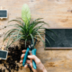 Does Overdesign Reduce Garden Functionality?