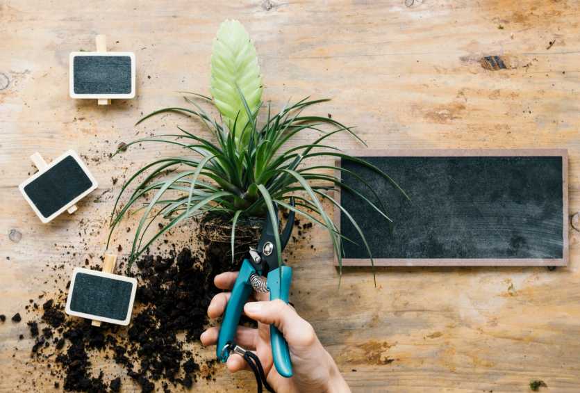 Does Overdesign Reduce Garden Functionality?