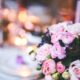 The Ultimate Guide to Choosing Flowers for Every Occasion