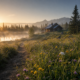Rustic cabin amidst sunrise landscape with misty forest and flowers.