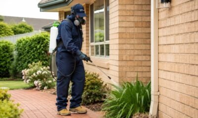 Top Pest Control Services in Southern Highlands: Effective Solutions for Your Home