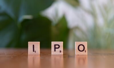 ipo consultant fees
