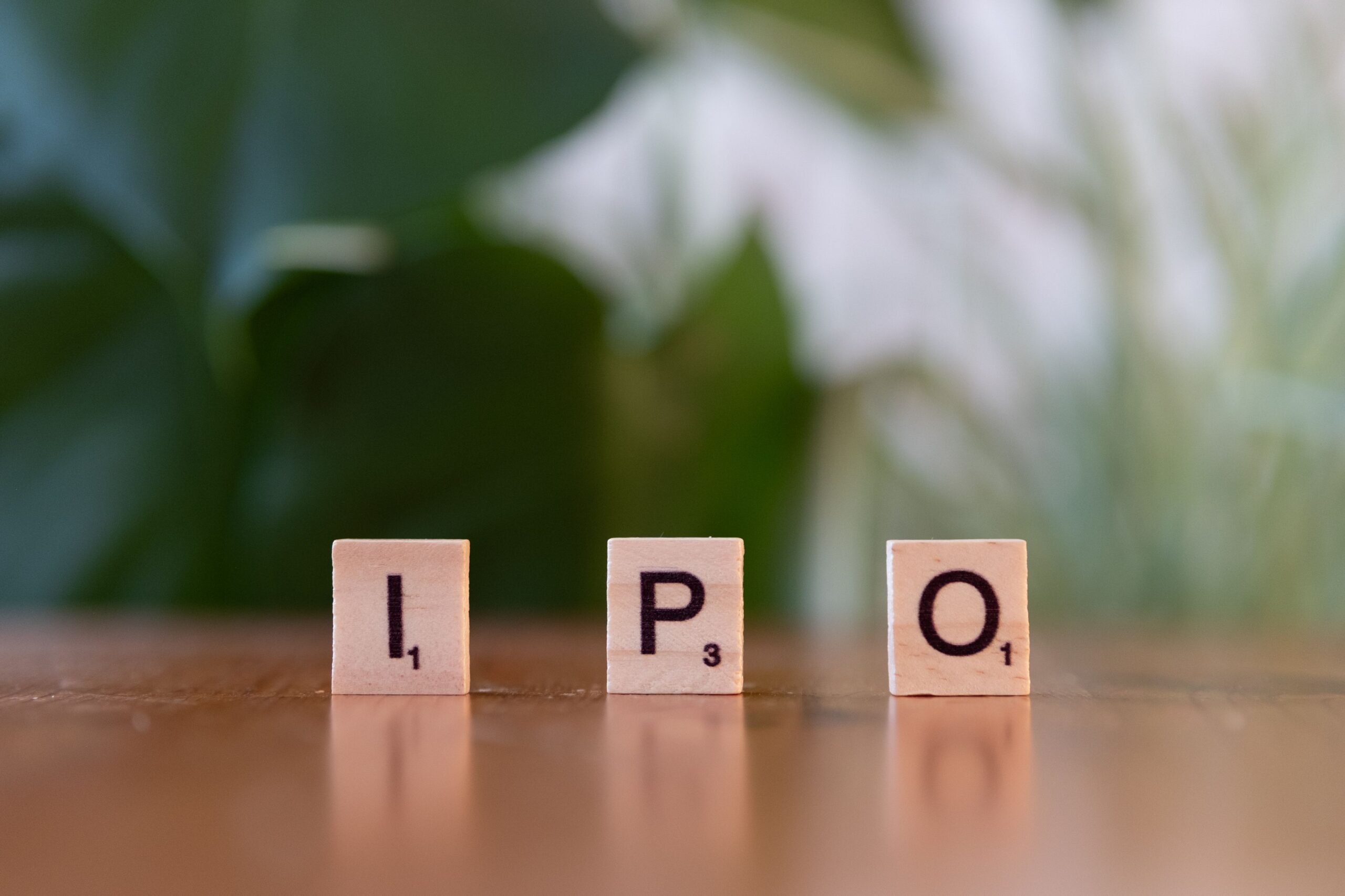 ipo consultant fees
