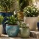 Ceramic Plant Pots: Enhancing Your Garden with Style and Durability